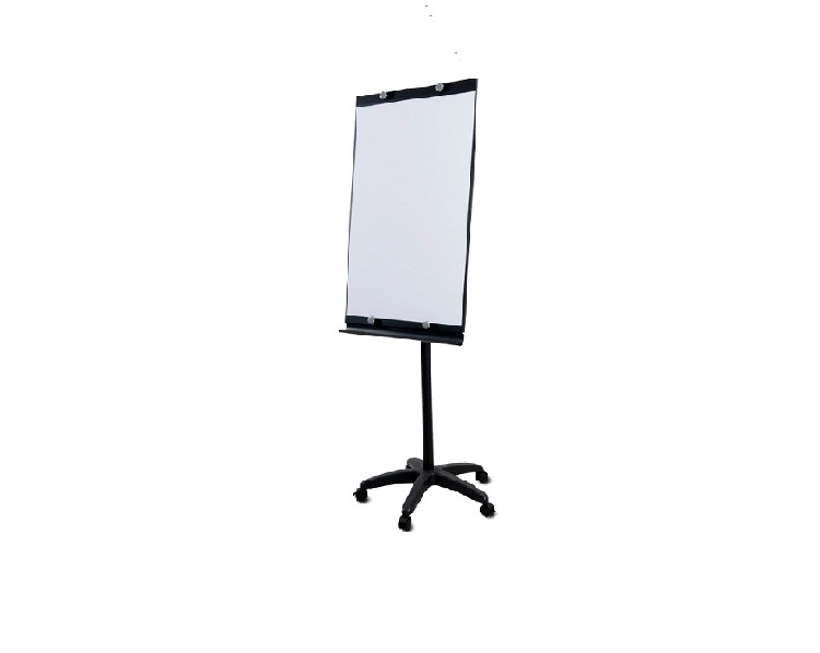 Economy Flip Chart