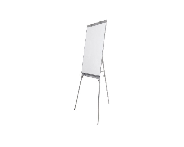 Economy Flip Chart