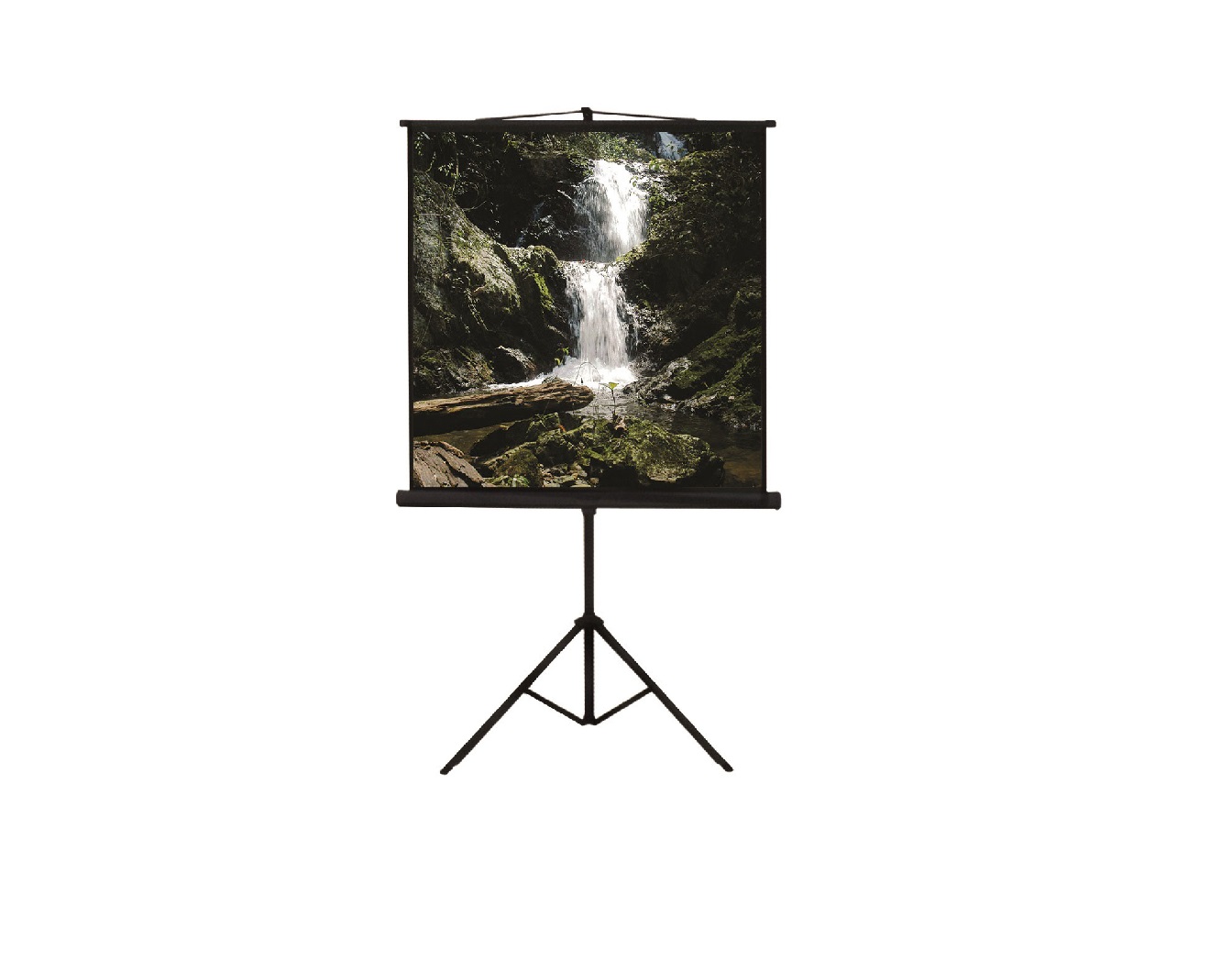 Compact Rostrum